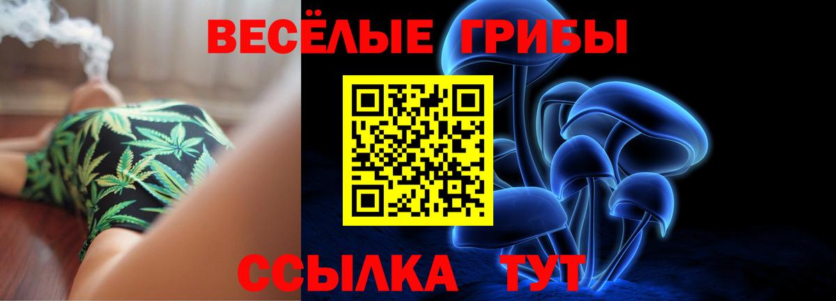 Тосно  Галлюциногенные грибы Magic Shrooms  купить  цена  Псилоцибиновые грибы ЛСД  Вход с VPN 
